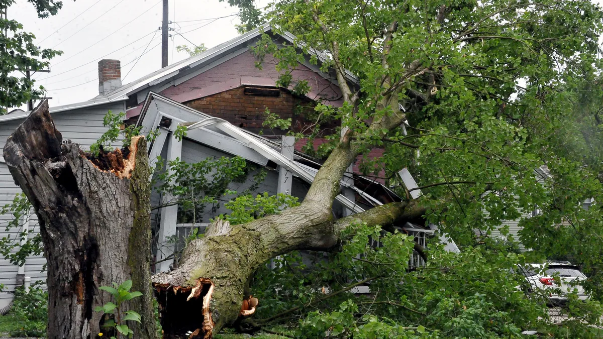 The Role of Public Adjusters in Maximizing Your Storm Damage Claim Image