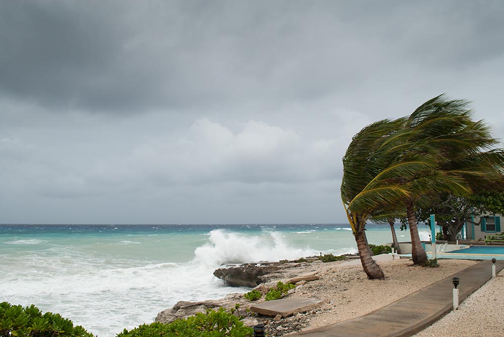 Preparing Your Home for Storm Season: Essential Tips and Checklist Image