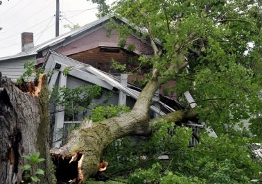 The Role of Public Adjusters in Maximizing Your Storm Damage Claim body thumb image