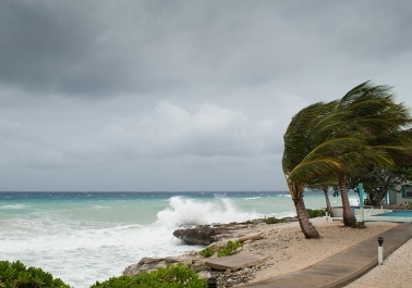 Preparing Your Home for Storm Season: Essential Tips and Checklist body thumb image