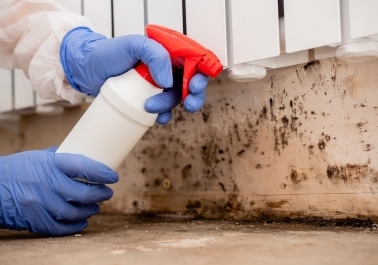 Mold Remediation Image