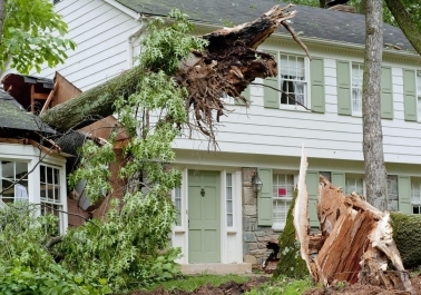 Understanding Different Types of Storm Damage: A Homeowner’s Guide Image