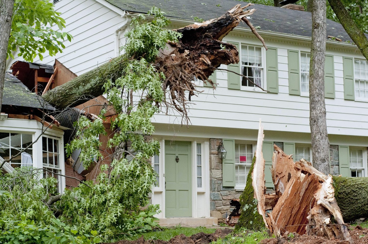 Understanding Different Types of Storm Damage: A Homeowner’s Guide Image